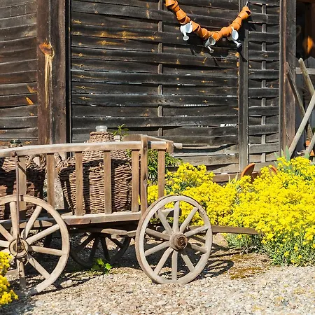 Au Pre Des Poulains * Ostheim